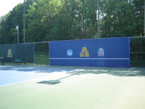 Allegheny Class of 2001 10-year  Reunion 031